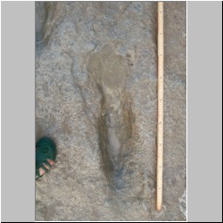 102_7543 (2013-08-19)m2 (IIS,-6).JPG